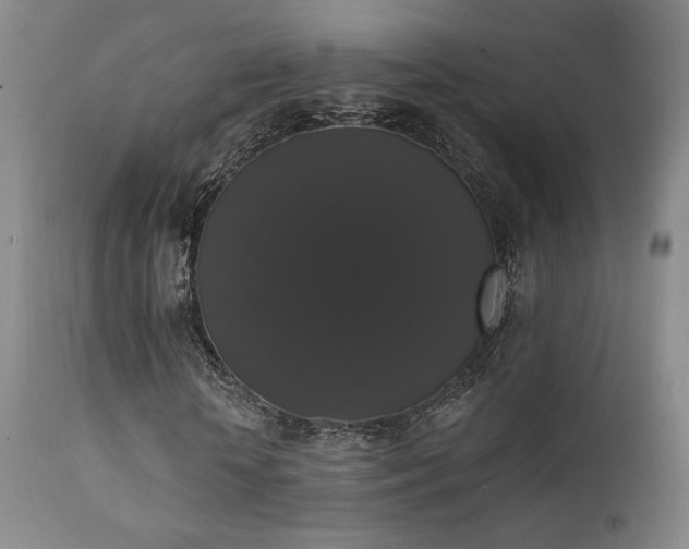 X0000111440818200907131303