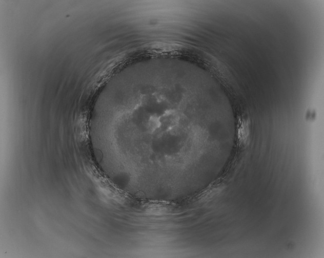 X0000111440819200907131303