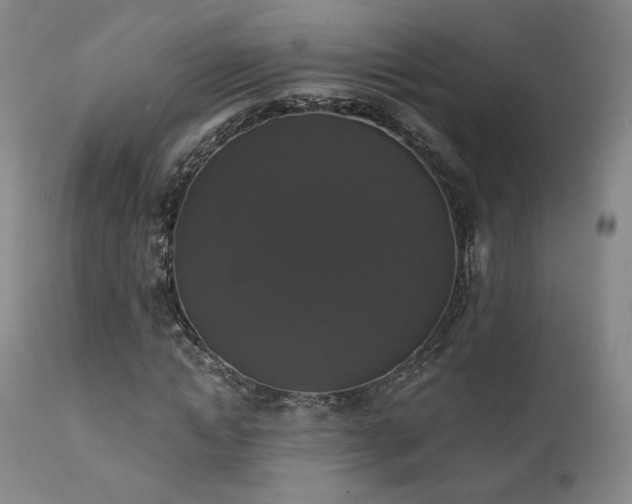 X0000111440822200907131303