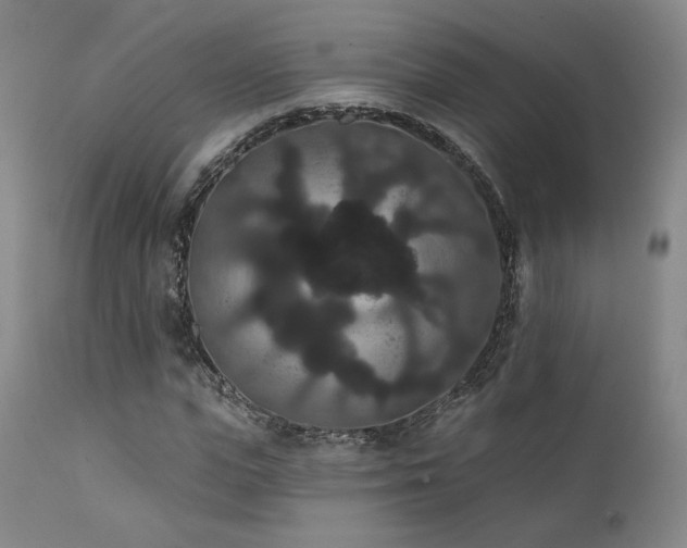 X0000111440823200907131303