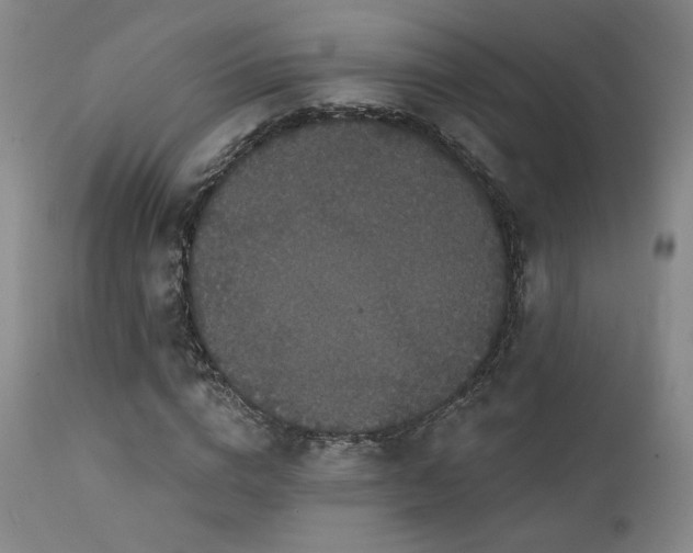 X0000111440824200907131303