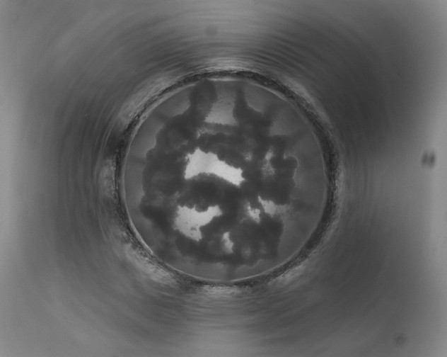 X0000111440825200907131303