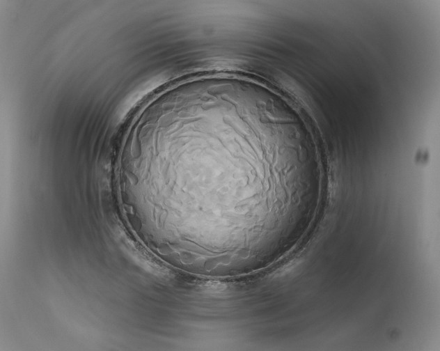 X0000111440827200907131303