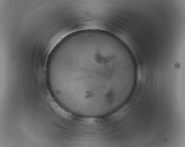 X0000111440828200907131303