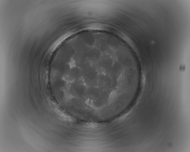 X0000111440829200907131303
