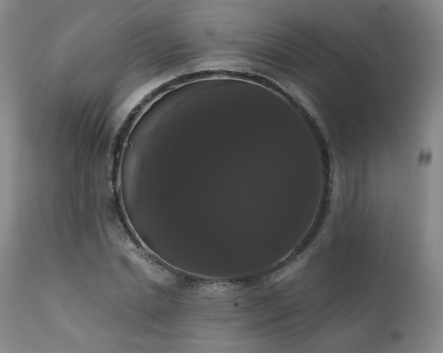 X0000111440830200907131303