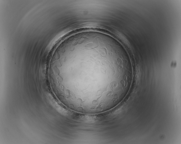 X0000111440831200907131303