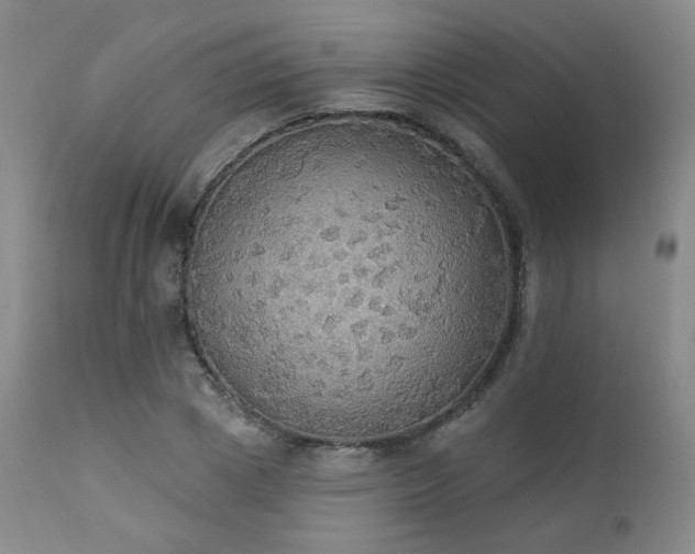 X0000111440833200907131303
