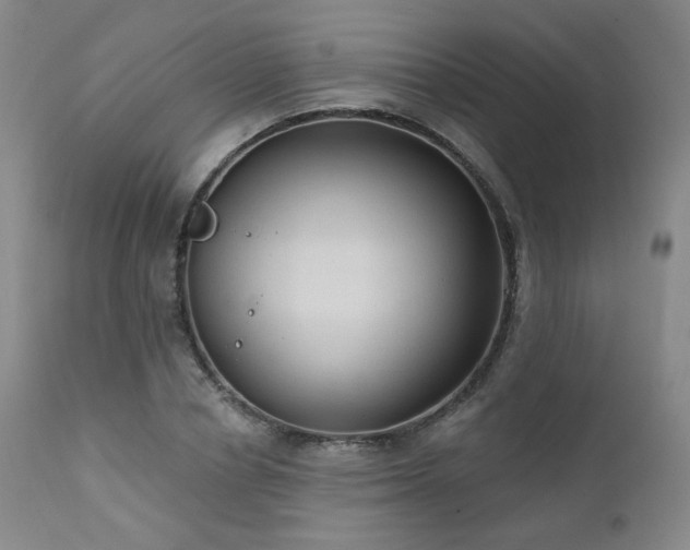 X0000111440834200907131303