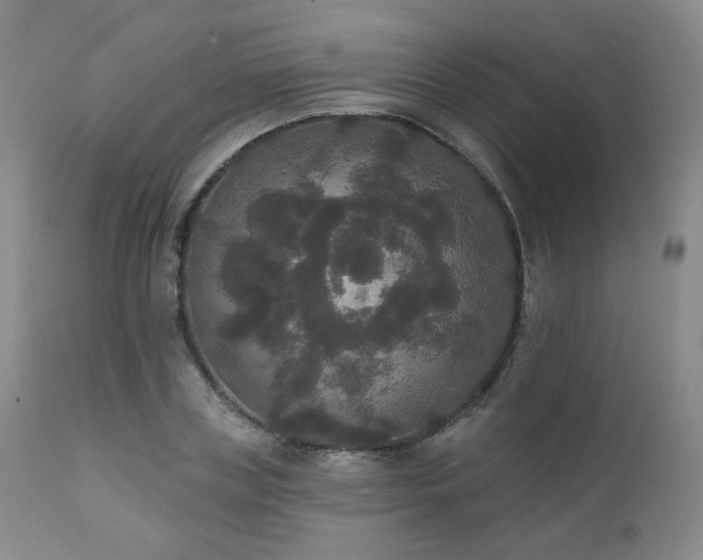 X0000111440835200907131303