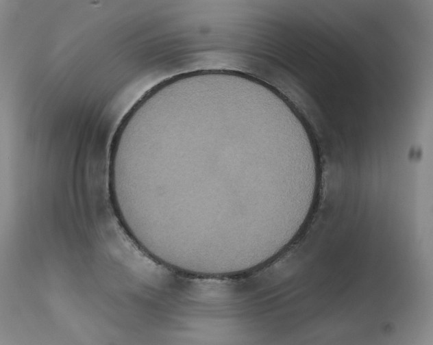 X0000111440836200907131303