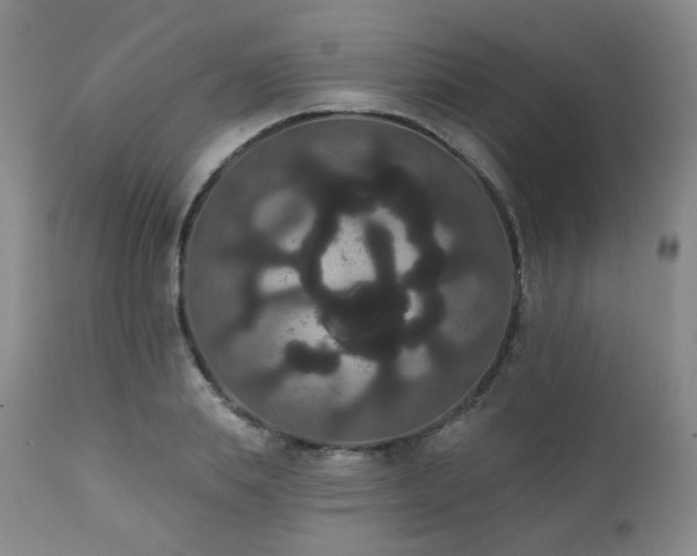 X0000111440839200907131303