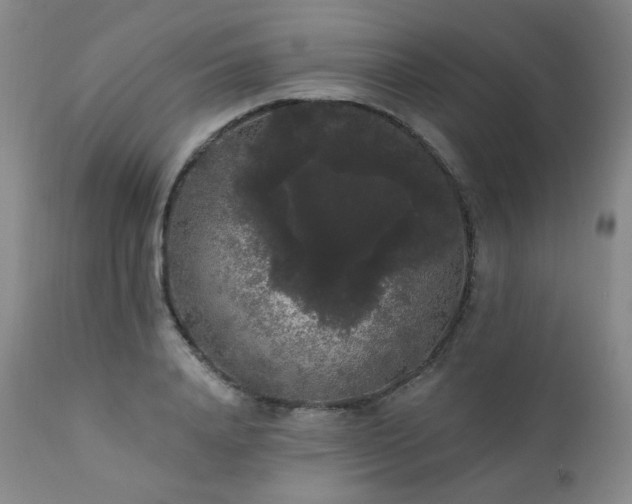 X0000111440840200907131303