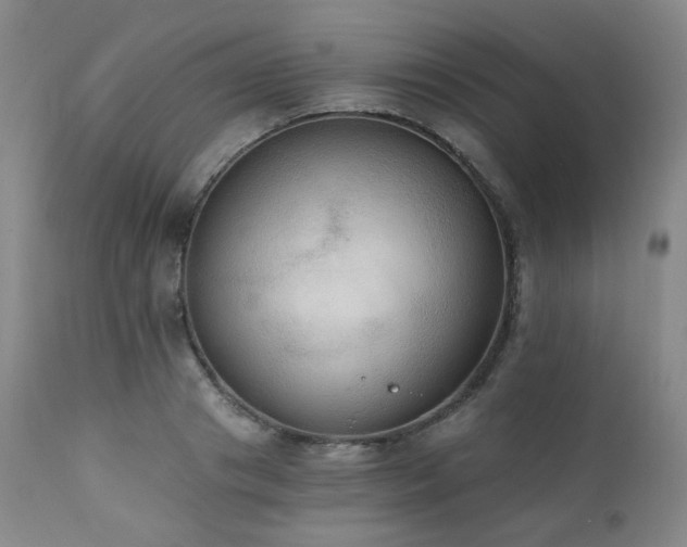 X0000111440841200907131303