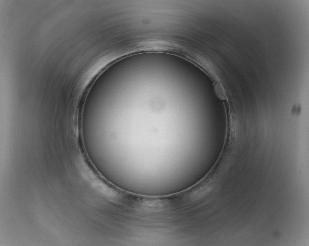 X0000111440843200907131303