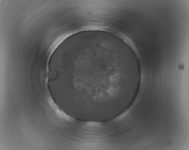 X0000111440844200907131303