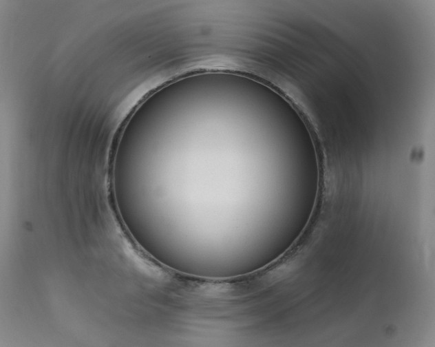 X0000111440845200907131303
