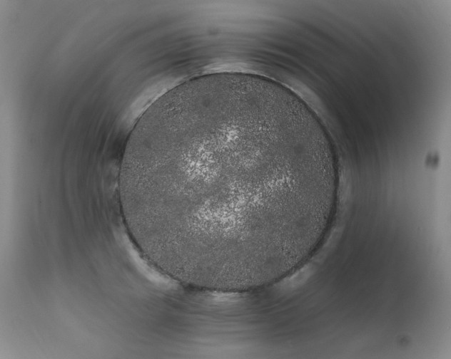 X0000111440849200907131303