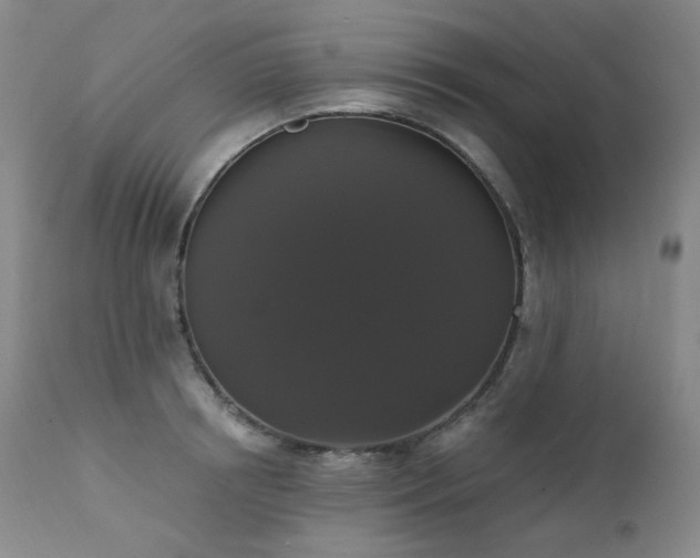 X0000111440850200907131303