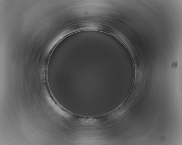 X0000111440851200907131303
