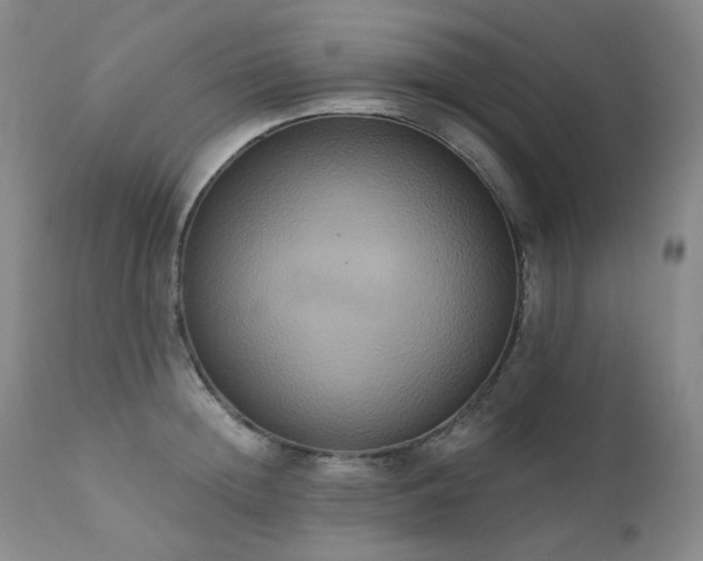 X0000111440852200907131303