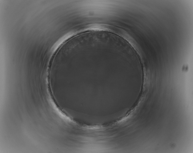 X0000111440853200907131303