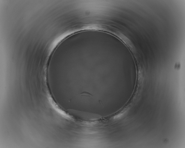 X0000111440854200907131303
