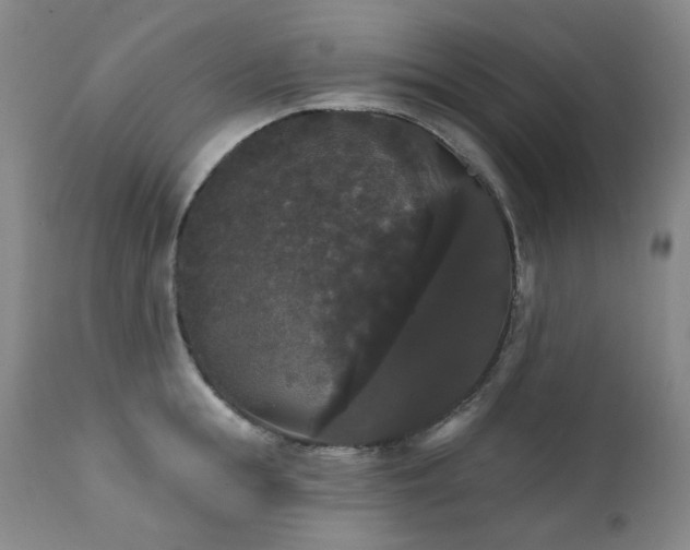 X0000111440855200907131303