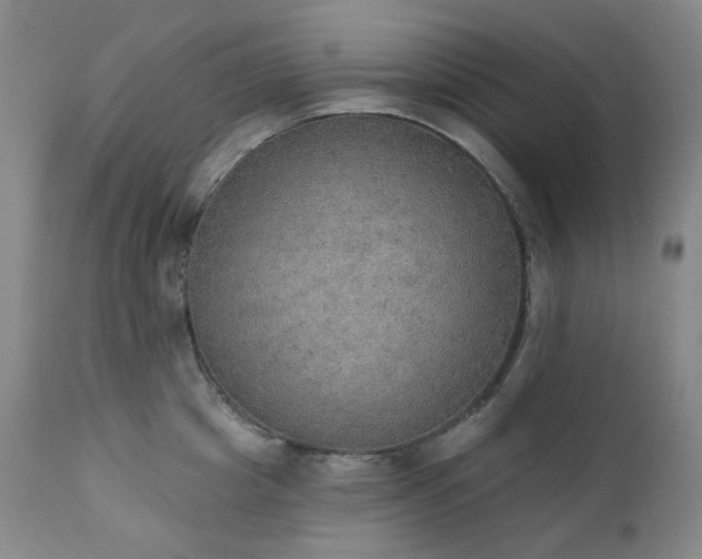 X0000111440857200907131303