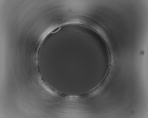 X0000111440858200907131303
