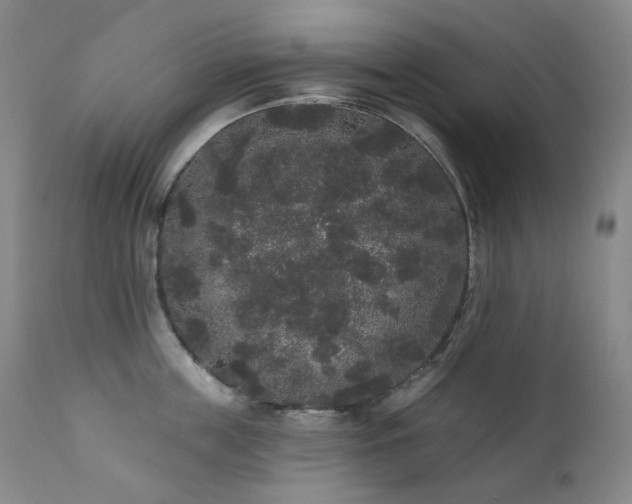 X0000111440859200907131303