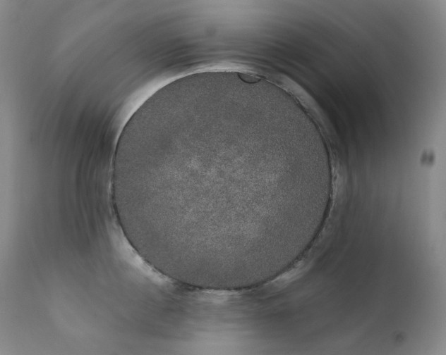 X0000111440860200907131303