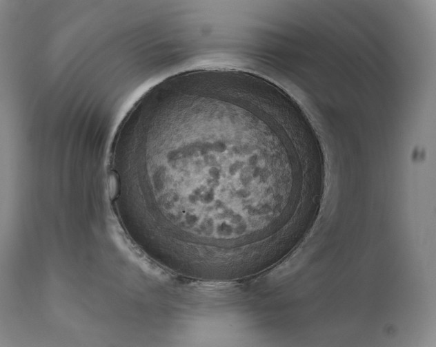X0000111440864200907131303