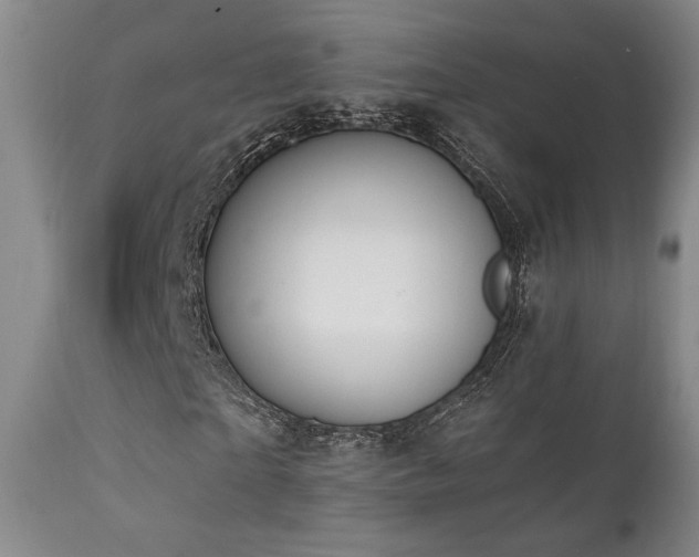 X0000111440865200907131303