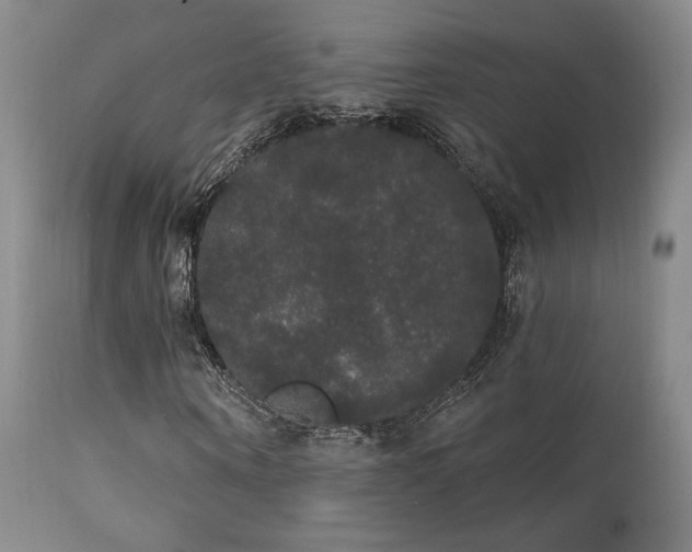 X0000111440866200907131303
