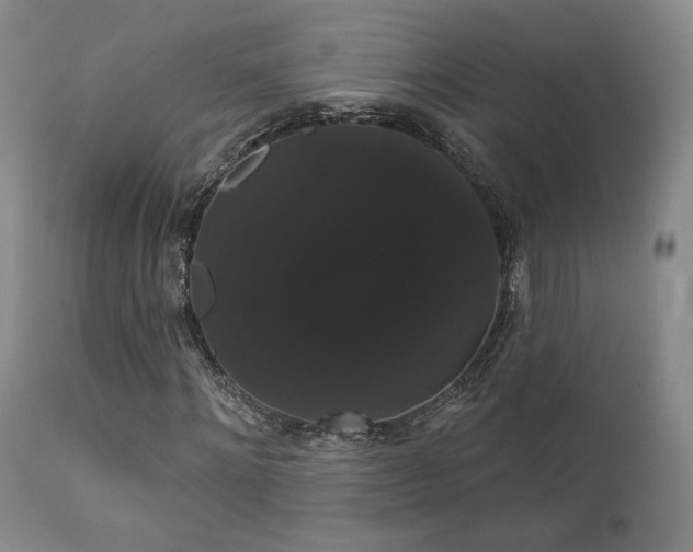 X0000111440868200907131303