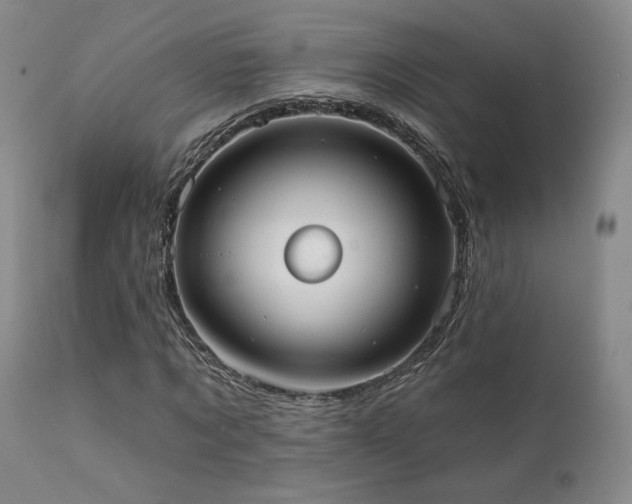 X0000111440869200907131303