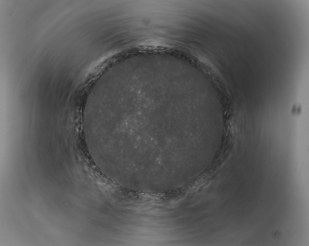 X0000111440870200907131303