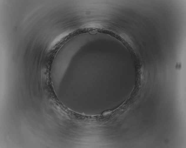 X0000111440872200907131302