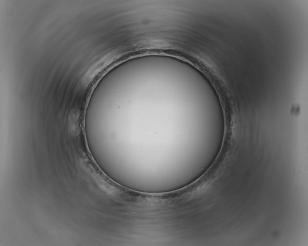 X0000111440873200907131302