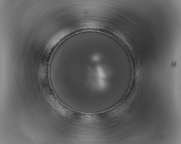 X0000111440874200907131302