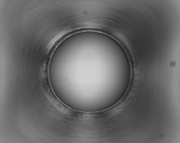X0000111440875200907131302