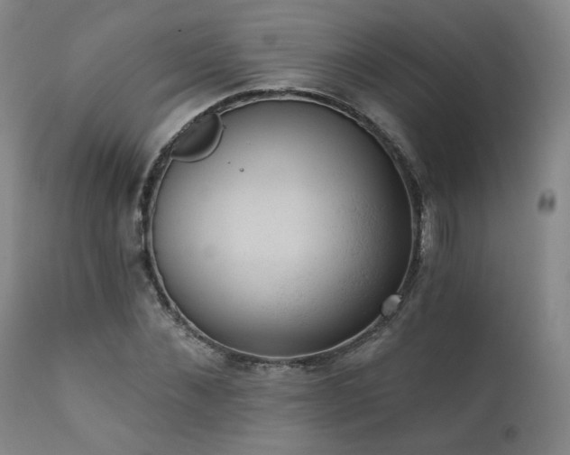 X0000111440876200907131302