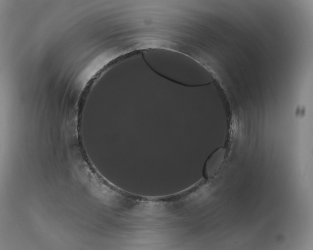 X0000111440877200907131302