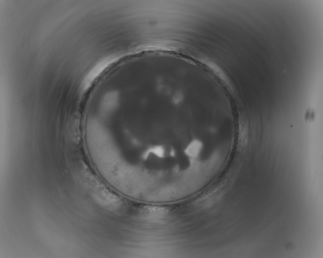 X0000111440878200907131302
