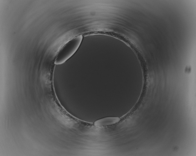 X0000111440881200907131302