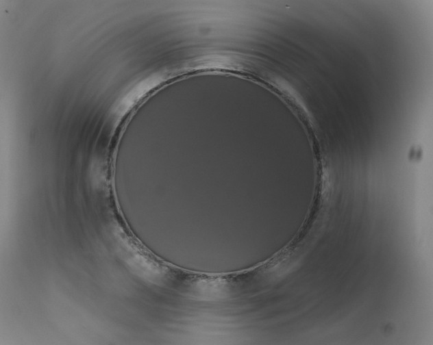 X0000111440882200907131302
