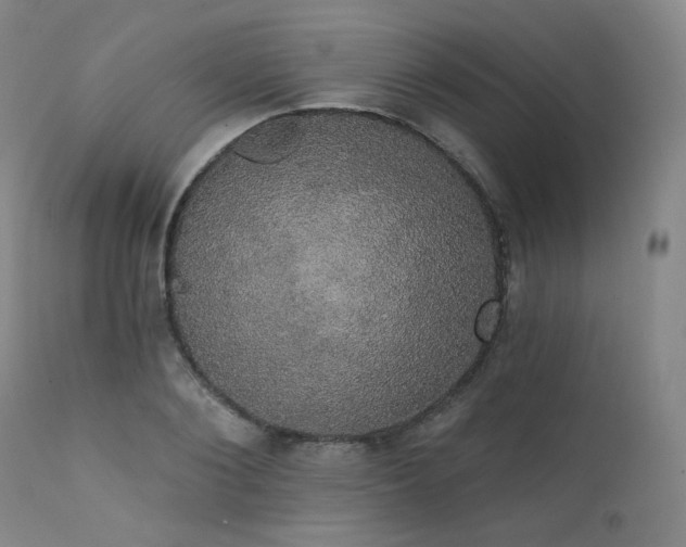 X0000111440884200907131302