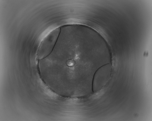 X0000111440885200907131302