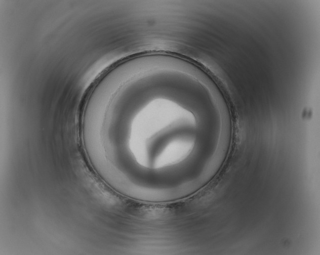 X0000111440886200907131302